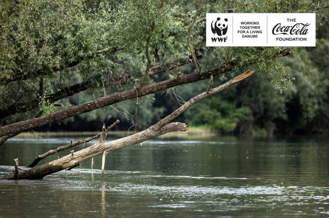 WWF a nadácia Coca-Coly spájajú sily: Spolupráca, ktorá podporí odolnosť povodia Dunaja