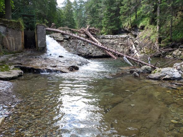 Správa WWF: Európa má potenciál oslobodiť 50 tisíc kilometrov riek