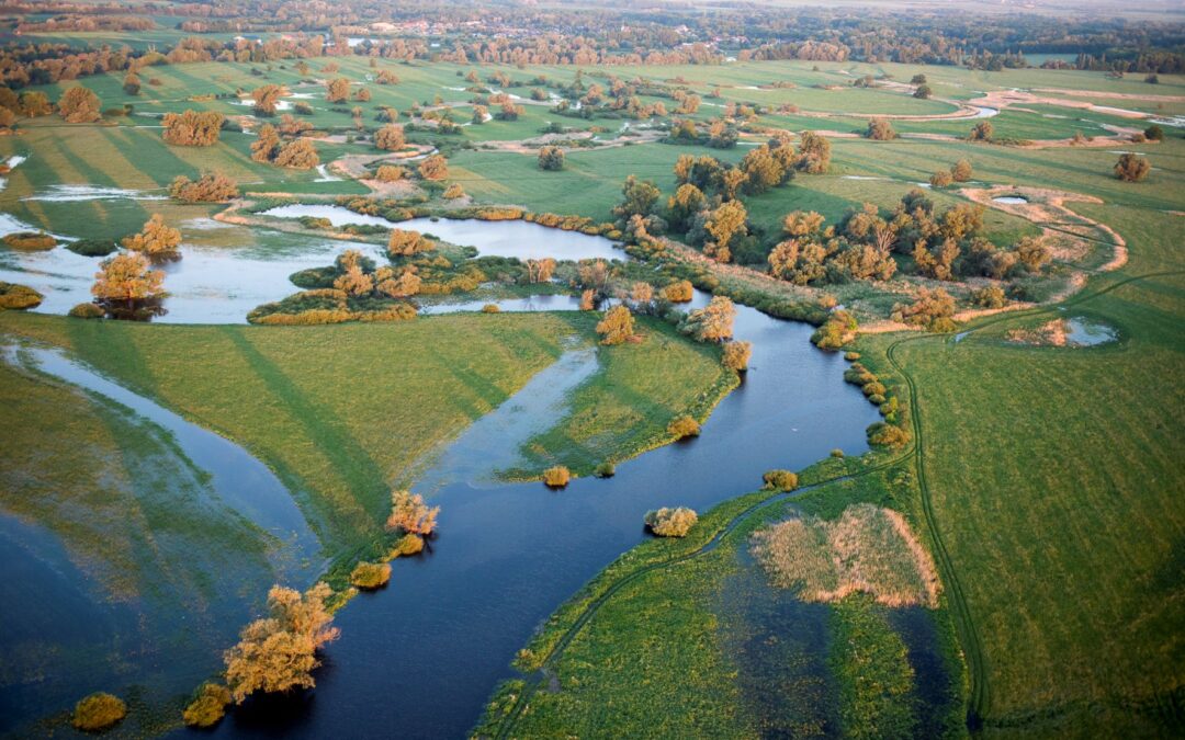 WWF varuje: Vodné elektrárne môžu poškodiť prírodu a podmienky miestnych komunít