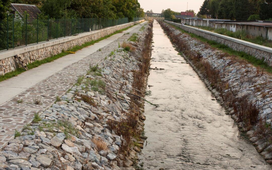 Rieky a vodné ekosystémy si zaslúžia viac pozornosti
