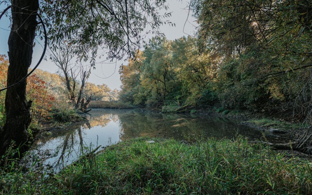 Zdravé rieky pre ľudí