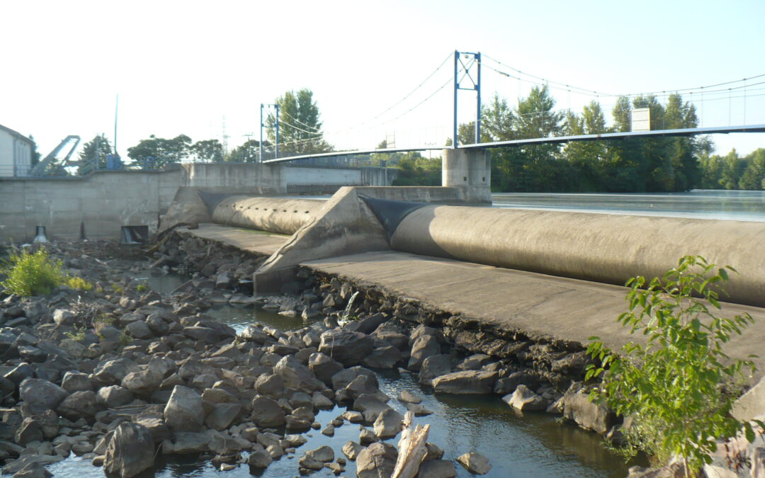 Na našich riekach sme postavili už viac ako tisíc bariér