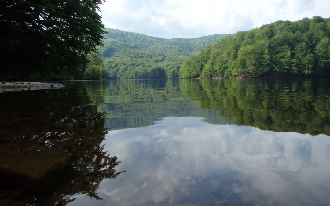 Tisíce vedcov a občanov chcú lepšiu ochranu vôd