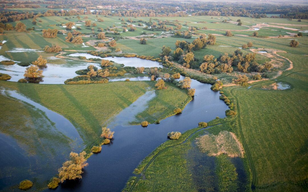 Rieka Morava a jej záplavové lúky sú výnimočné. Chystá sa obnova pôvodných brehov a meandrov.