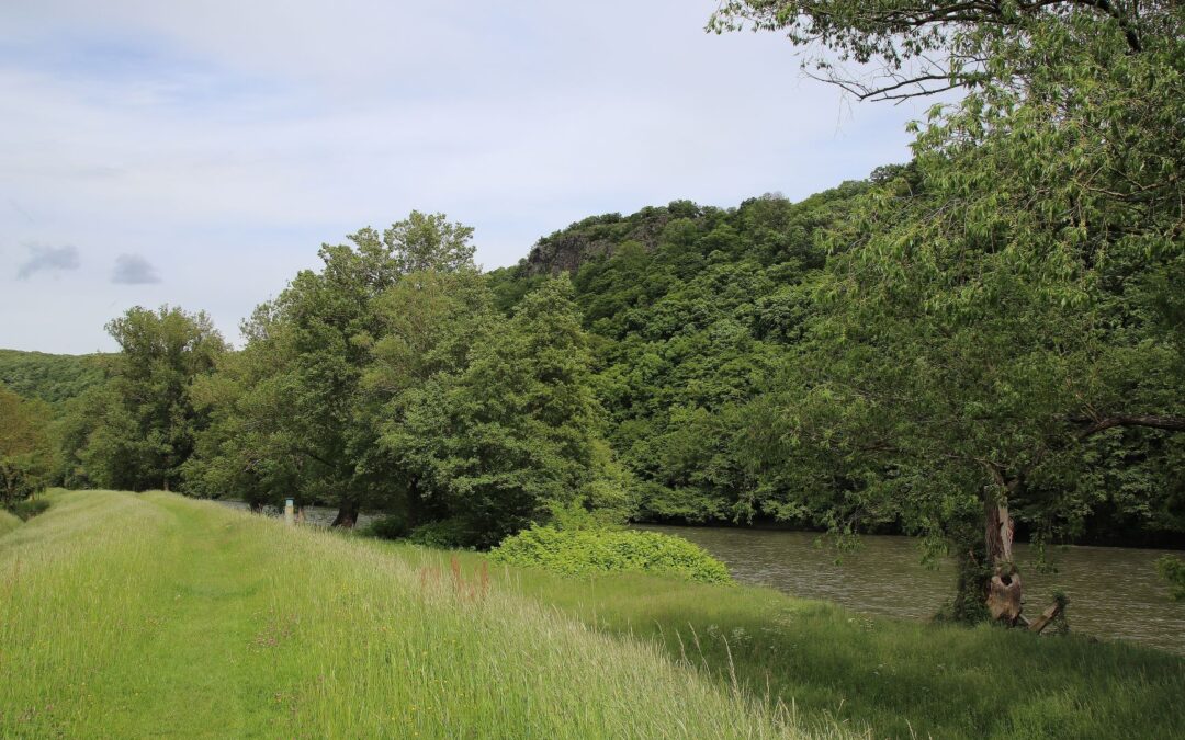 MVE pri Hronskom Beňadiku na Hrone stopol aj Najvyšší súd SR
