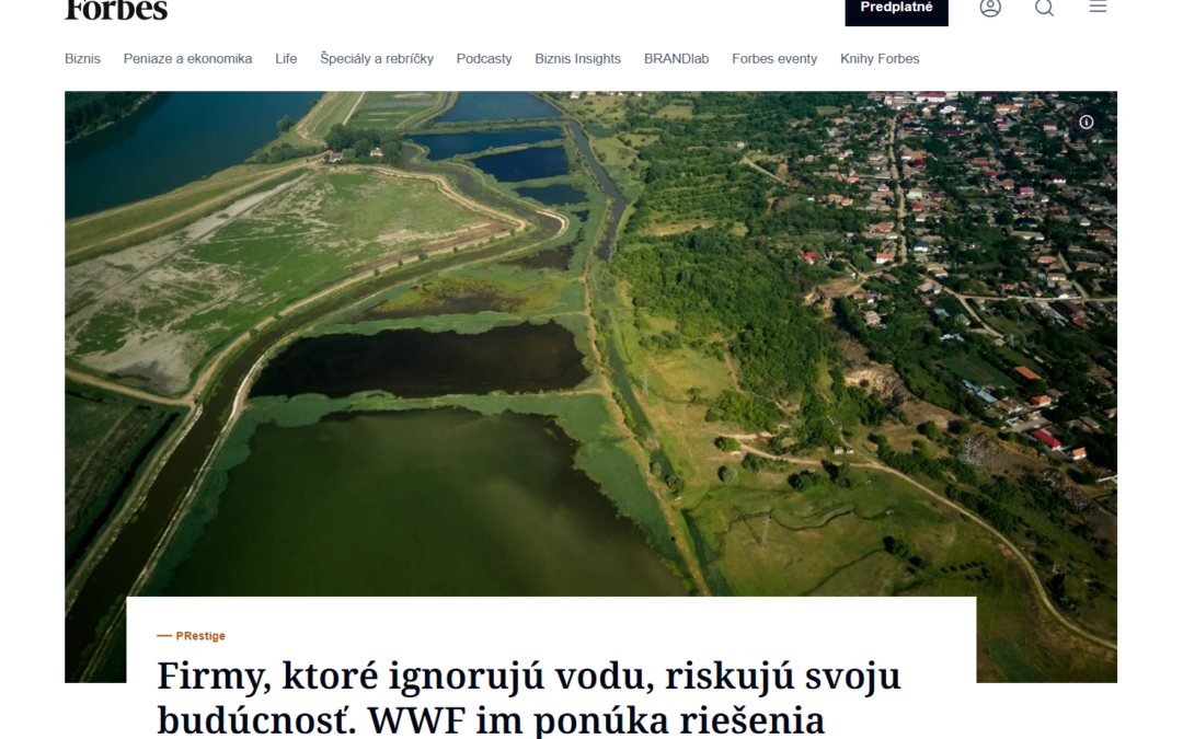 WWF v magazíne Forbes: Voda ako strategická priorita pre firmy