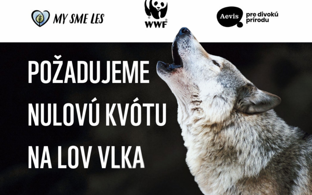 Lov vlkov na nie je opodstatnený. Žiadame nulovú kvótu na ich odstrel.