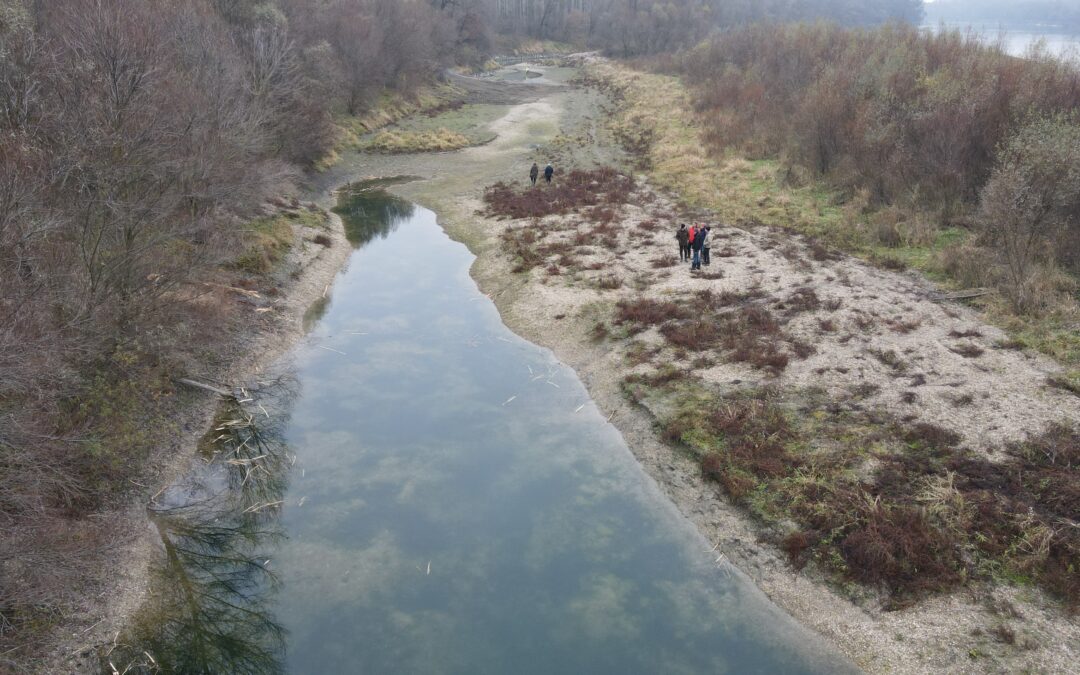 Ako udržať vodu v krajine – prirodzené riešenia, ktoré fungujú