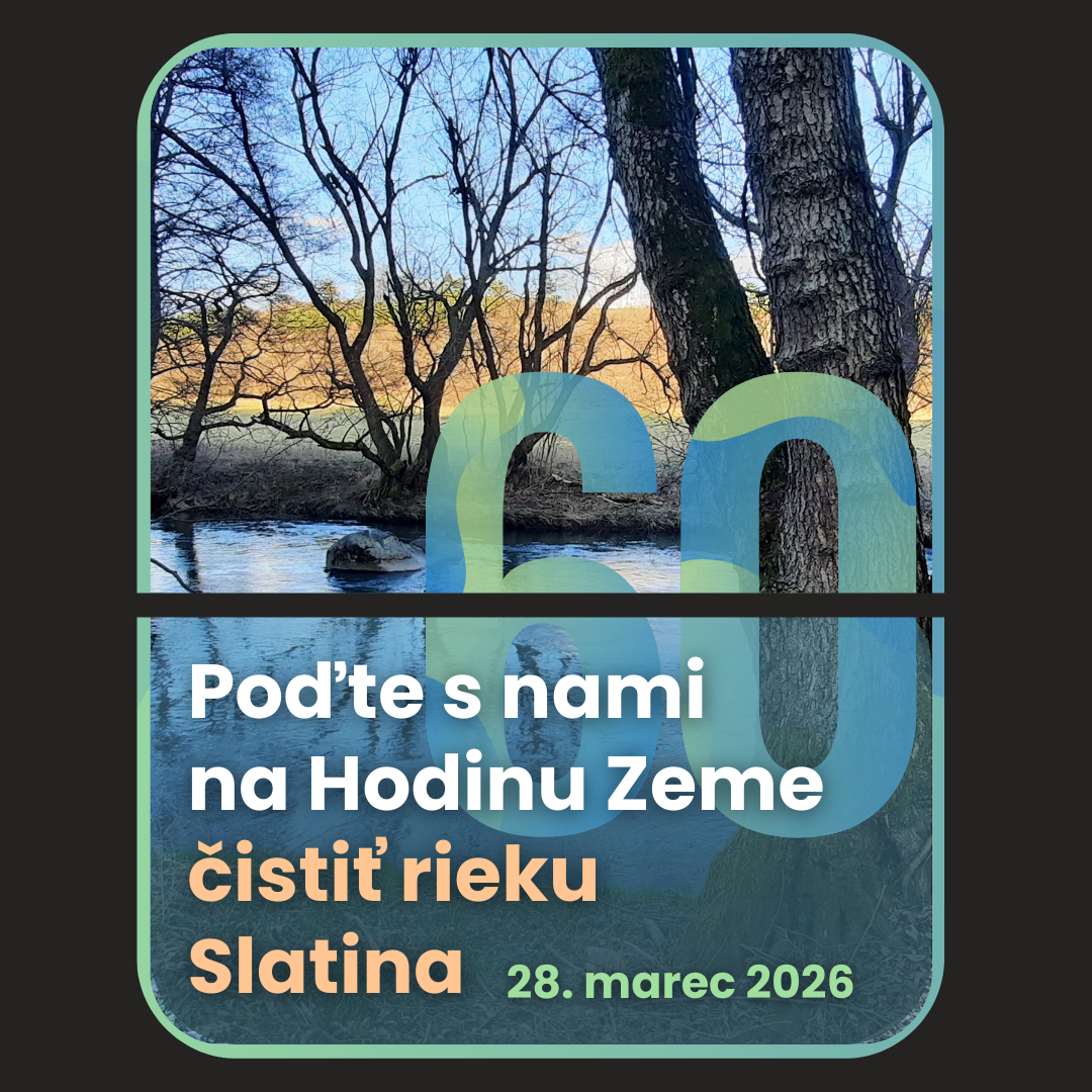 Hodina_Zeme_slatinka