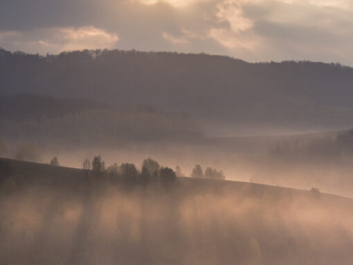 Návrh zonácie Polonín nezabezpečí dostatočnú ochranu lokalít UNESCO