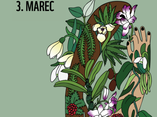 Svetový deň divokej prírody: O budúcnosti našej prírody rozhodujeme práve dnes