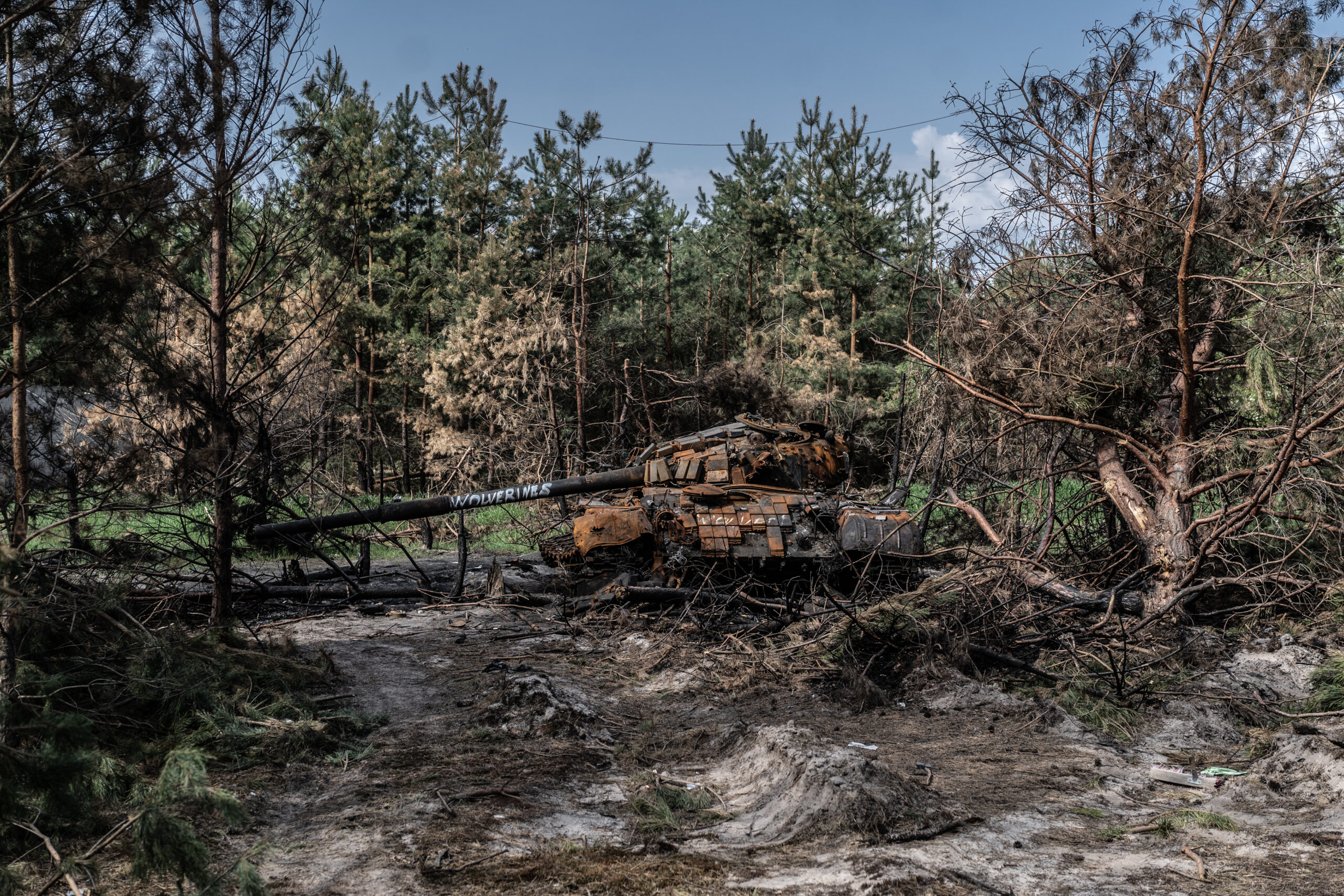 © Serhii Korovayny WWF-Ukraine
