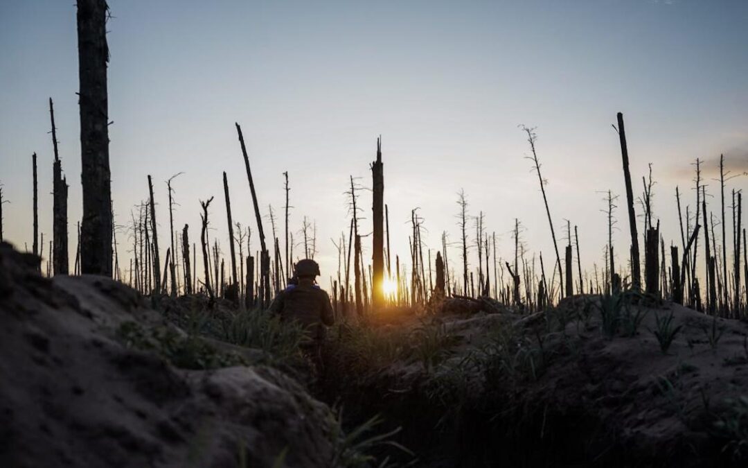 Čo znamenajú 4 roky vojny pre lesy Ukrajiny