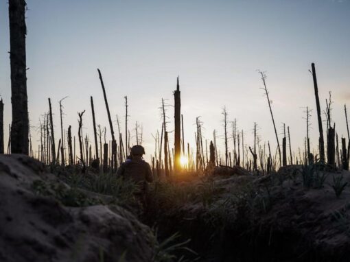 Čo znamenajú 4 roky vojny pre lesy Ukrajiny