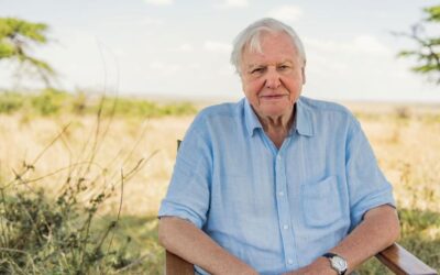 David Attenborough oslavuje 100 rokov. A vy mu môžete popriať