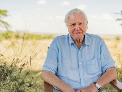 David Attenborough oslavuje 100 rokov. A vy mu môžete popriať