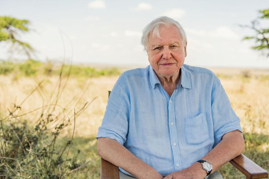David Attenborough oslavuje 100 rokov. A vy mu môžete popriať