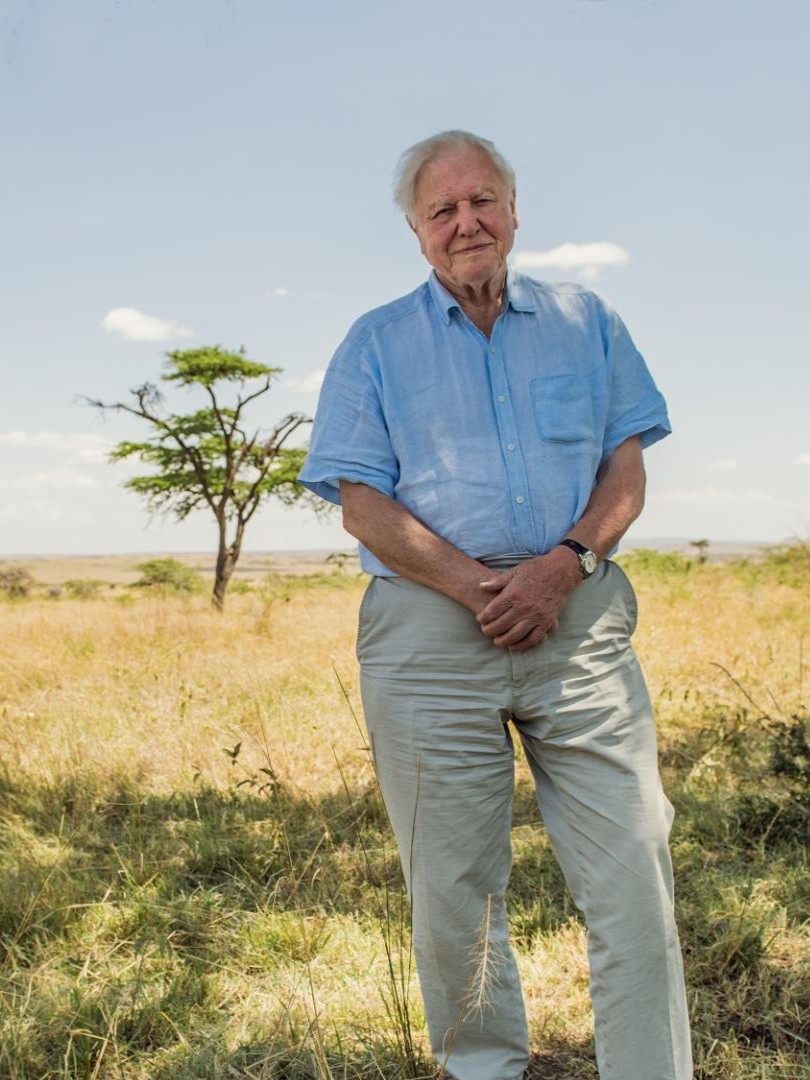 Fotosúťaž_Príroda cez objektív-zaba