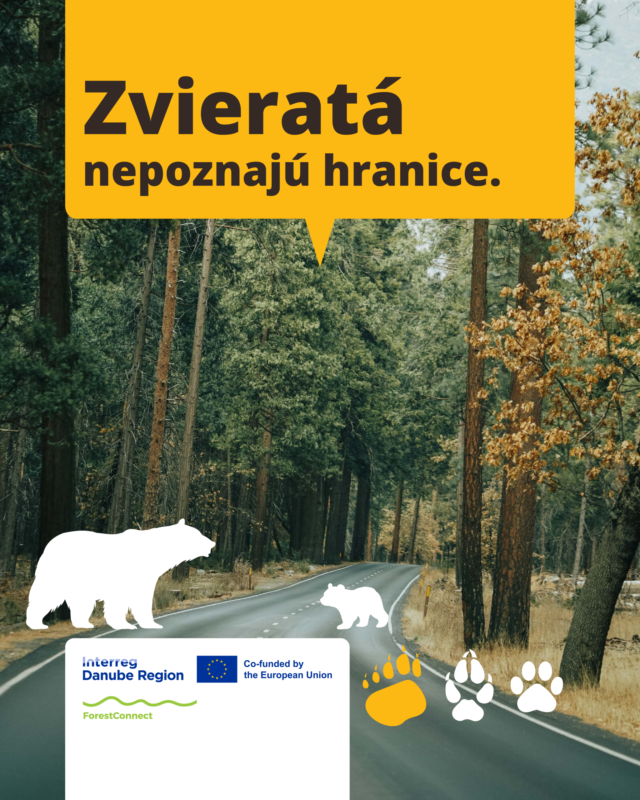 ForestConnect_vizual2