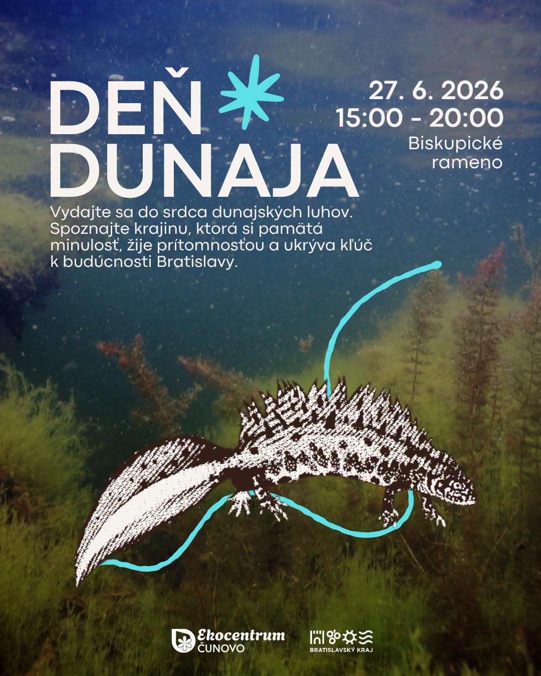 den dunaja 2