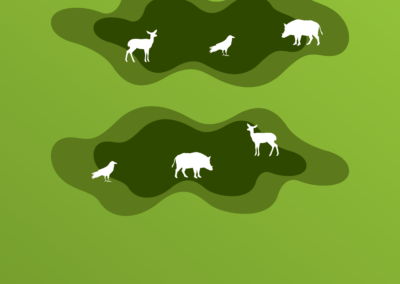 forestconnect_Konektivita 3