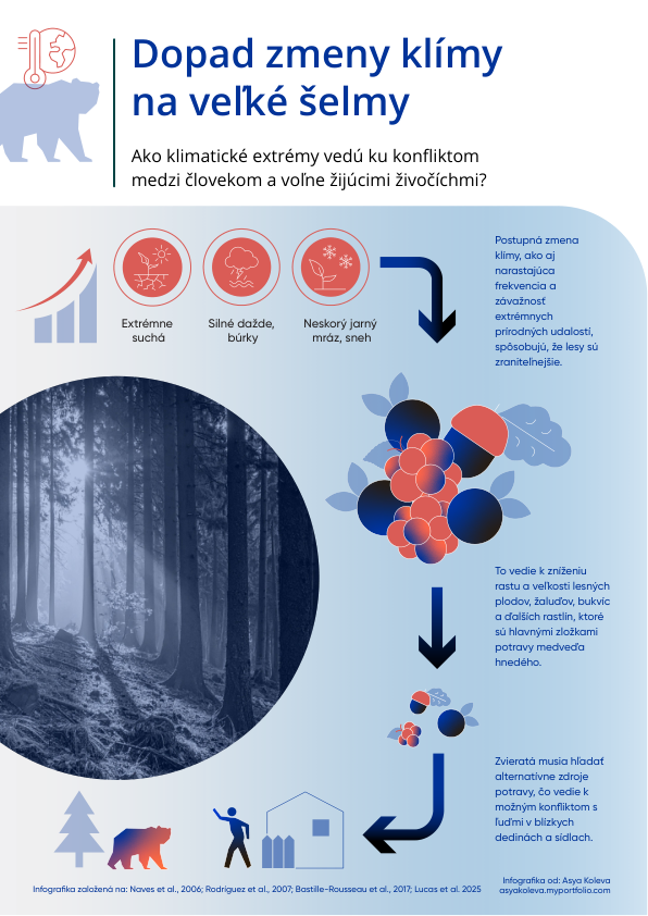 infografika_forestconnect1