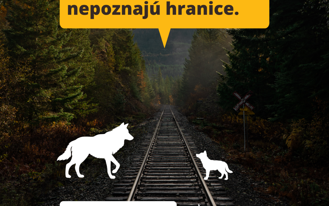 Opatrenia pre odolnejšiu krajinu v Slovenskom raji