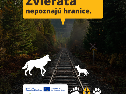 Opatrenia pre odolnejšiu krajinu v Slovenskom raji